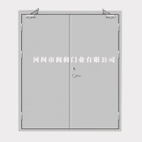 防火門，閬閬防火門，任丘防火門,防火門廠家
