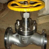 不銹鋼升降式止回閥 不銹鋼止回閥